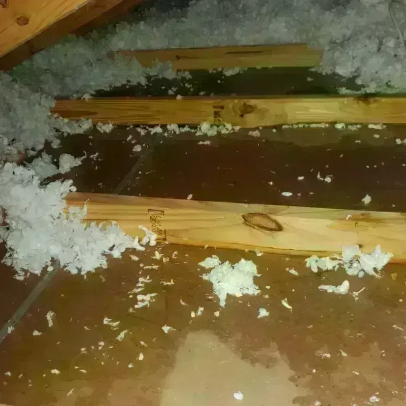 Attic Water Damage in Valparaiso, IN