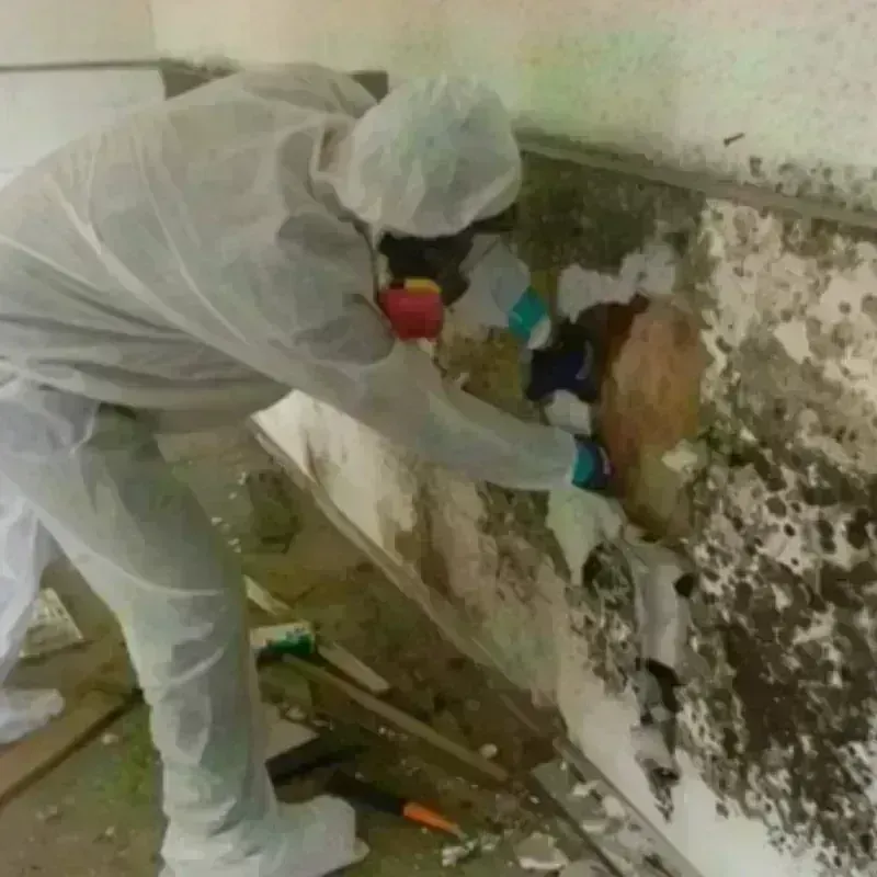 Mold Remediation and Removal in Valparaiso, IN