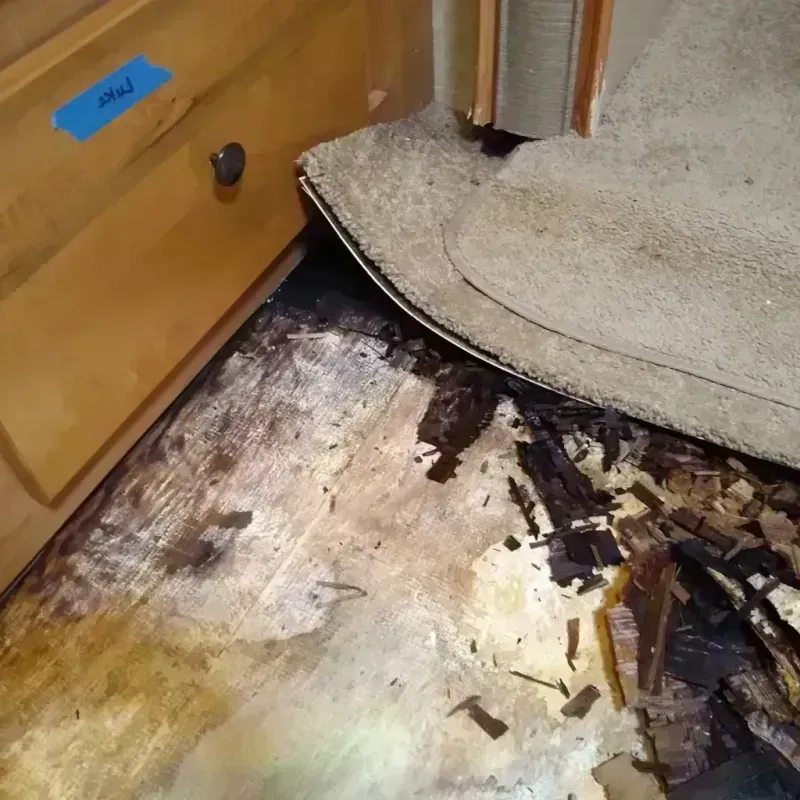 Best Wood Floor Water Damage Service in Valparaiso, IN